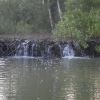 На бобровой плотине