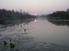 Зорька над речушкой Зорька над речушкой