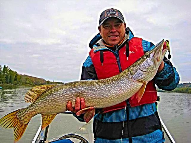 Рядом с Калачевском. Рядом с Калачевском.