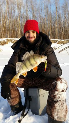 Окунь Окунь