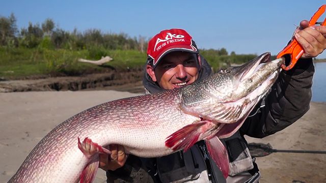 Щука 9500 Щука 9500