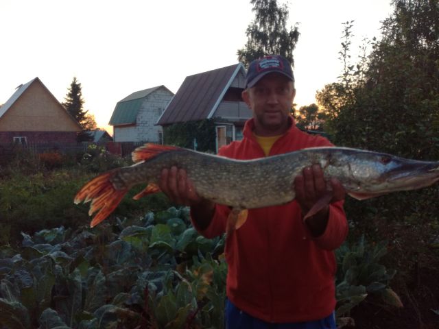 Ждун... Ждун...