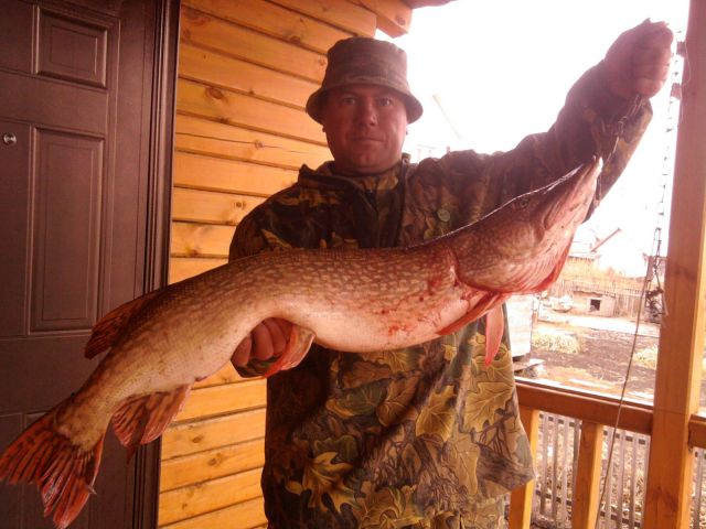 Фото0685 Фото0685