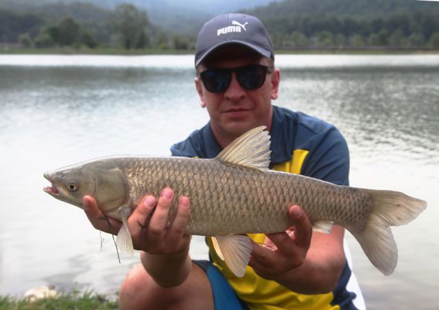 ТЕХНОДОК. Амур ТЕХНОДОК. Амур