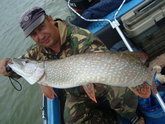 Nik (дядьКоля) Nik (дядьКоля)