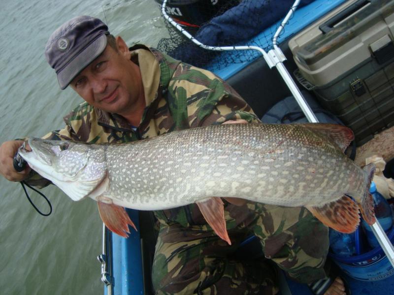 Nik (дядьКоля)