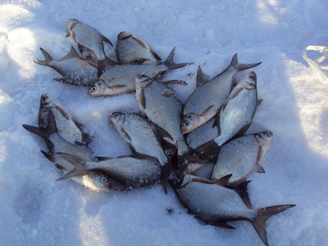 IMG 20171129 163116 24