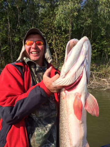 Щука 8600гр. Щука 8600гр.