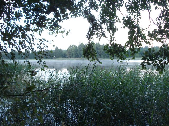 просто хорошо просто хорошо