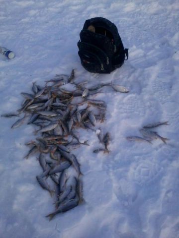 2016-02-13 17.09.16.jpg