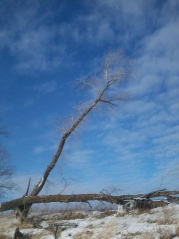 2016-02-13 15.18.33.jpg