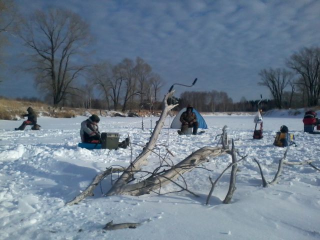 2016-02-13 15.18.12.jpg