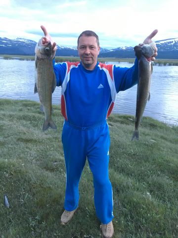 Хариус Хариус