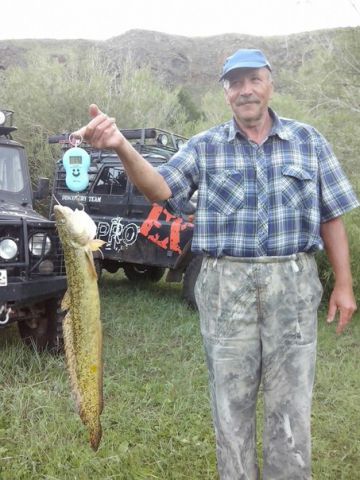 Александр с налимом, 1,72 кг