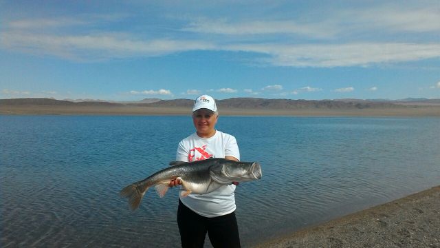 Галина, турист