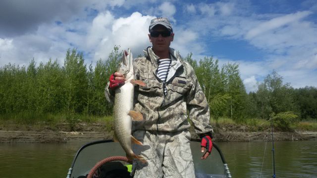 20150815 133020 20150815 133020