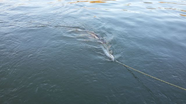 20150909_181625.jpg 20150909_181625.jpg