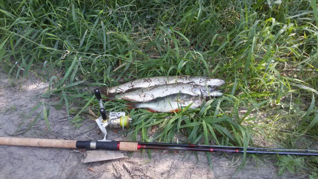 20150720 160347 20150720 160347