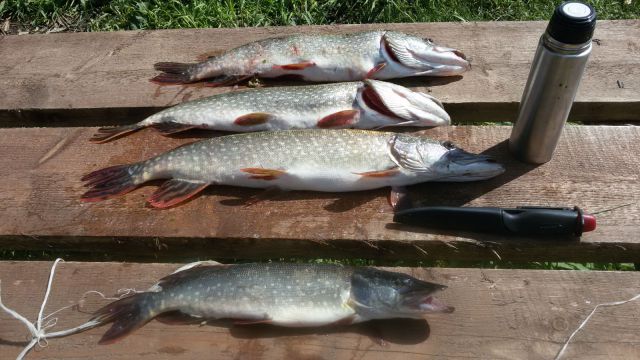 20150531 105956 20150531 105956