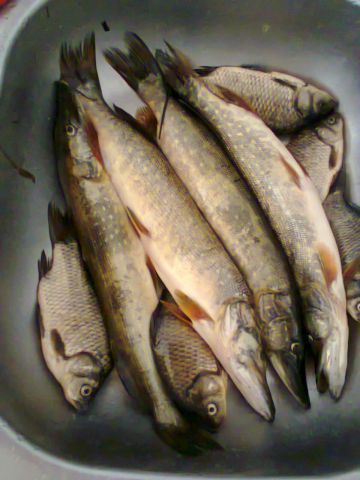 Фото0283 Фото0283