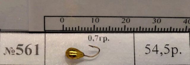 mv561.JPG