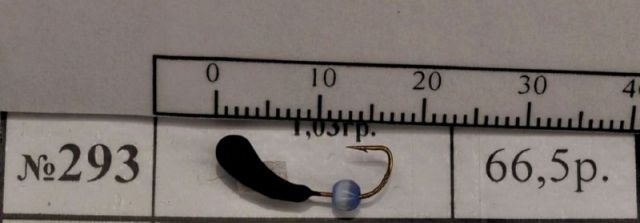 mv293
