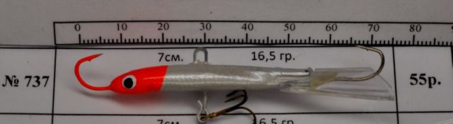 BL737