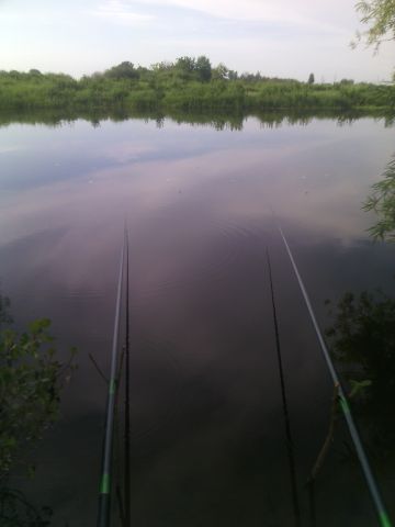 IMG 20150614 074509 IMG 20150614 074509