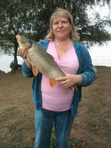 IMG 20151204 150643 8