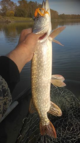 IMG 20170901 185115 IMG 20170901 185115