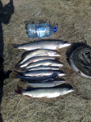 16102011116 16102011116