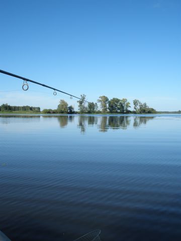 P8100205.JPG P8100205.JPG