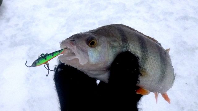 Эх,балансиры...