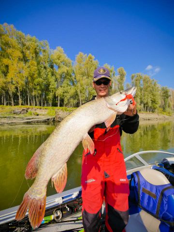 удачный ракурс удачный ракурс