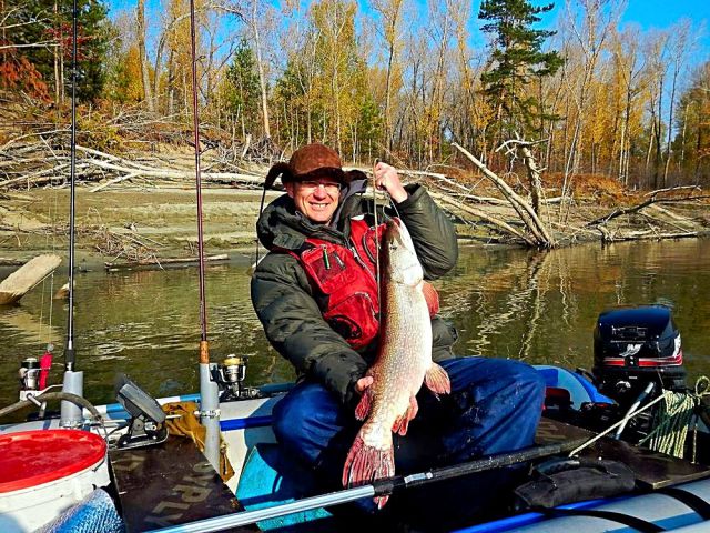 Щука 6,5 кг Щука 6,5 кг