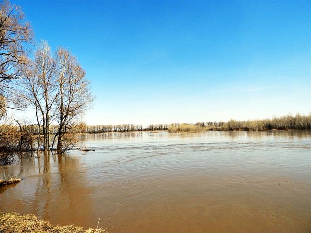 Весенний разлив реки Чумыш на Алтае - 2017.Все изменения сохранены.