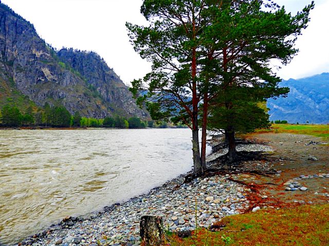 Берег реки Катунь в горах Алтая - 2017 в 4К.