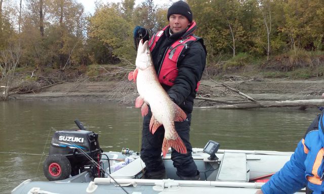 Щука 9,33 кг Щука 9,33 кг