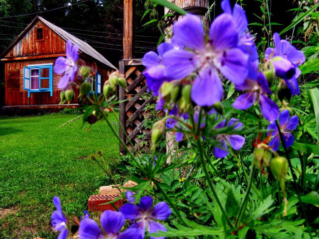 bICrttHZsEo bICrttHZsEo