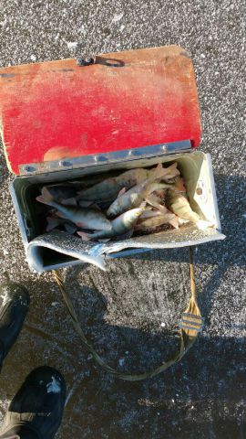 вот так открылись. Первый лед 2017