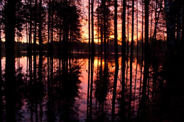 181 1600х1067 181 1600х1067