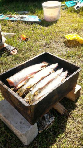 P 20160723 154711 P 20160723 154711