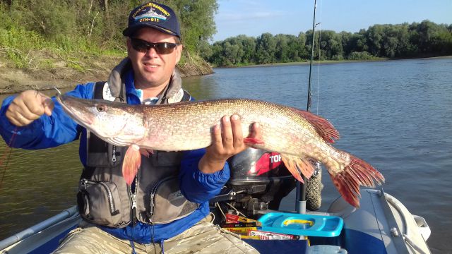 20170729 192336 20170729 192336