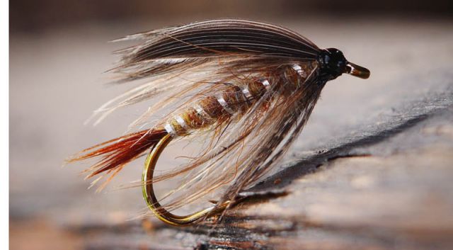 IMG 20171001 173733 463 (копия) IMG 20171001 173733 463 (копия)