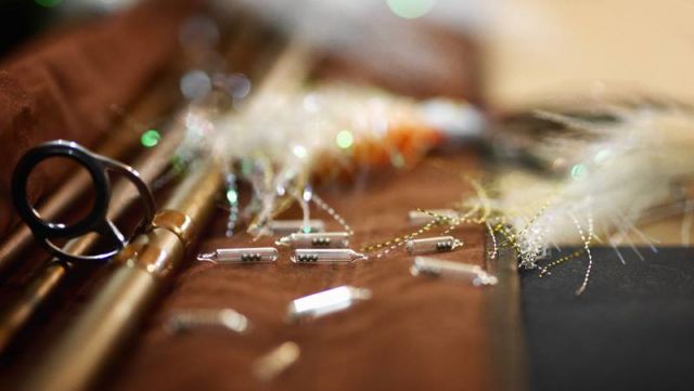 11800267 1445450792450149 5536292907501995827 N 11800267 1445450792450149 5536292907501995827 N