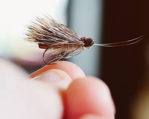 18888880 263490727389149 7976136752689577984 N 18888880 263490727389149 7976136752689577984 N