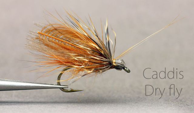 12573809_1532454250416469_5645851888507036513_n 12573809_1532454250416469_5645851888507036513_n