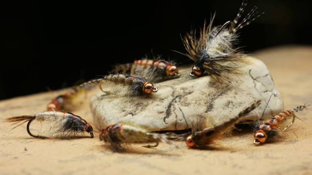 12106864 1481185898876638 1451989184477461091 N 12106864 1481185898876638 1451989184477461091 N