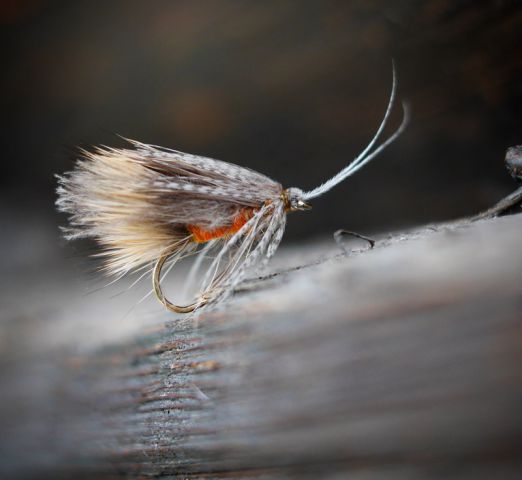 IMG 20170920 182240 240 (копия) IMG 20170920 182240 240 (копия)