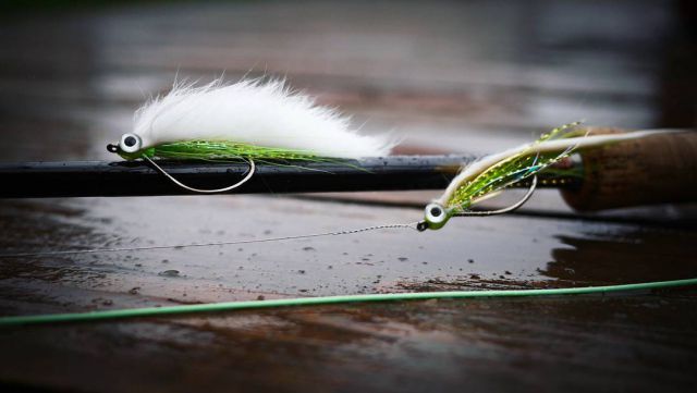 17265374 400273320339617 1303136164718313472 N 17265374 400273320339617 1303136164718313472 N